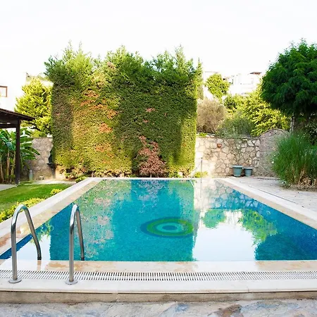 Vila Important Group | Alaca